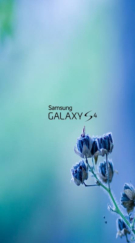 Blue Samsung Galaxy Logo - Samsung logo Wallpapers - Free by ZEDGE™