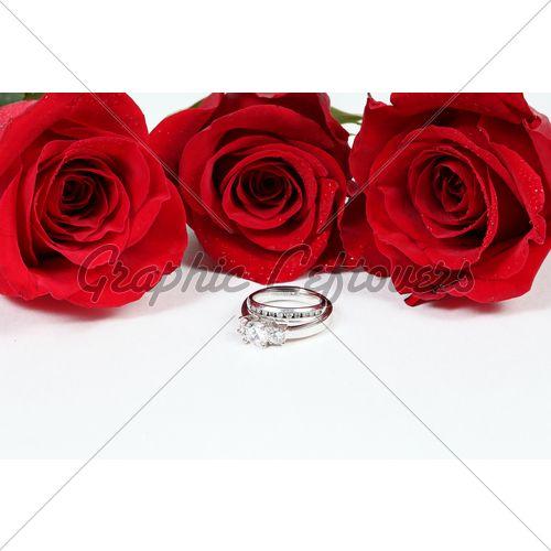 Three Red Rings Logo - Three Red Roses On White With Rings · GL Stock Image