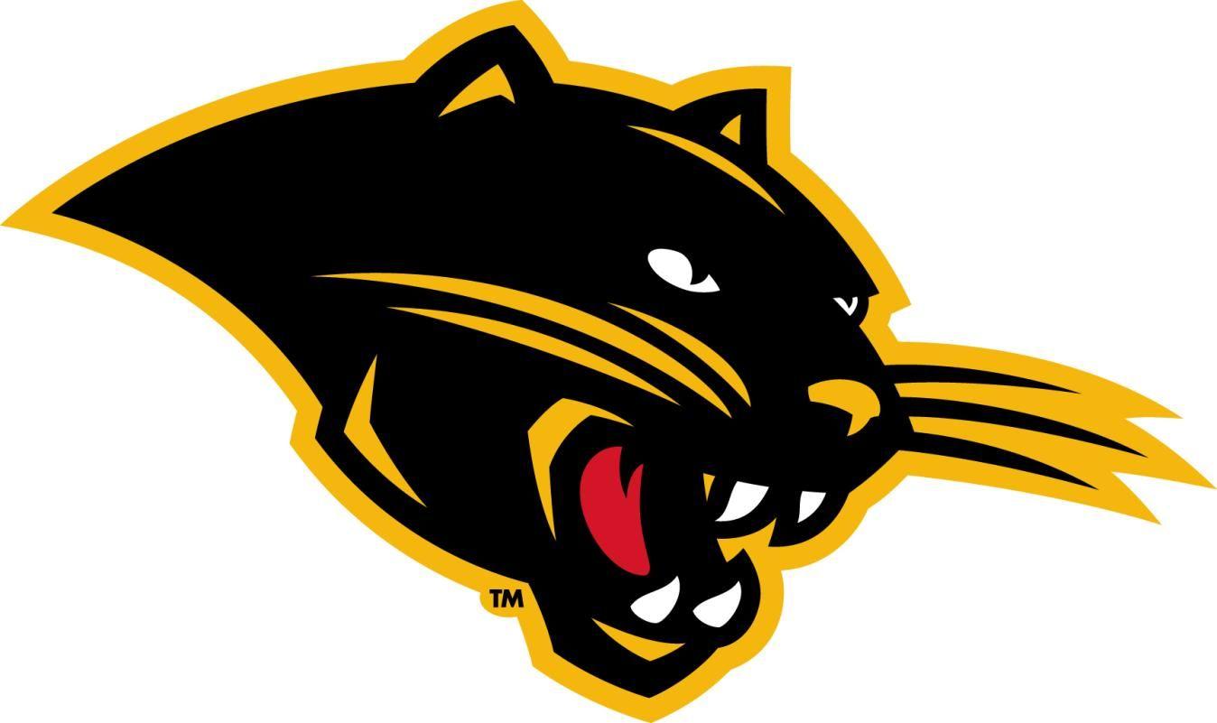 Gold Panther Logo - Ohio dominican Logos