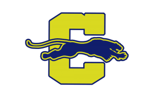 Gold Panther Logo - Sports – Clay County High School