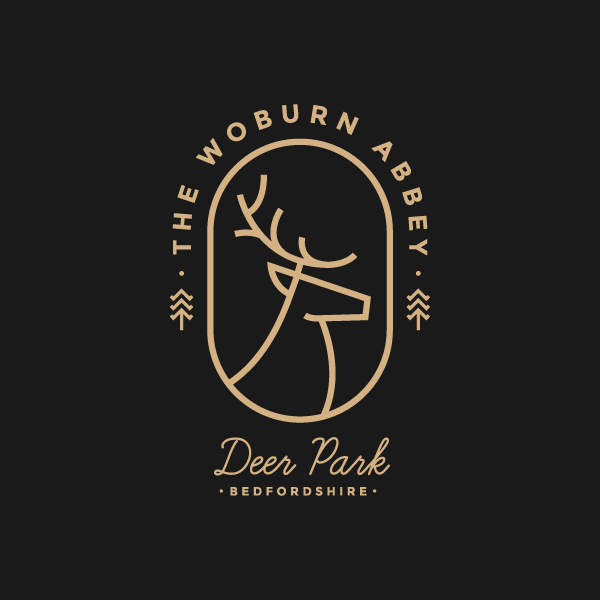 Abstract Deer Logo - The deer isnt too abstract to make the logo look to cartoony its