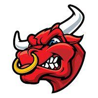 Bull Head Logo - Bull Head Logo
