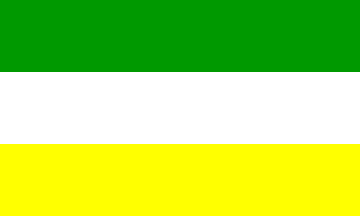 Green Yellow White Logo - Coyaima (Tolima, Colombia)