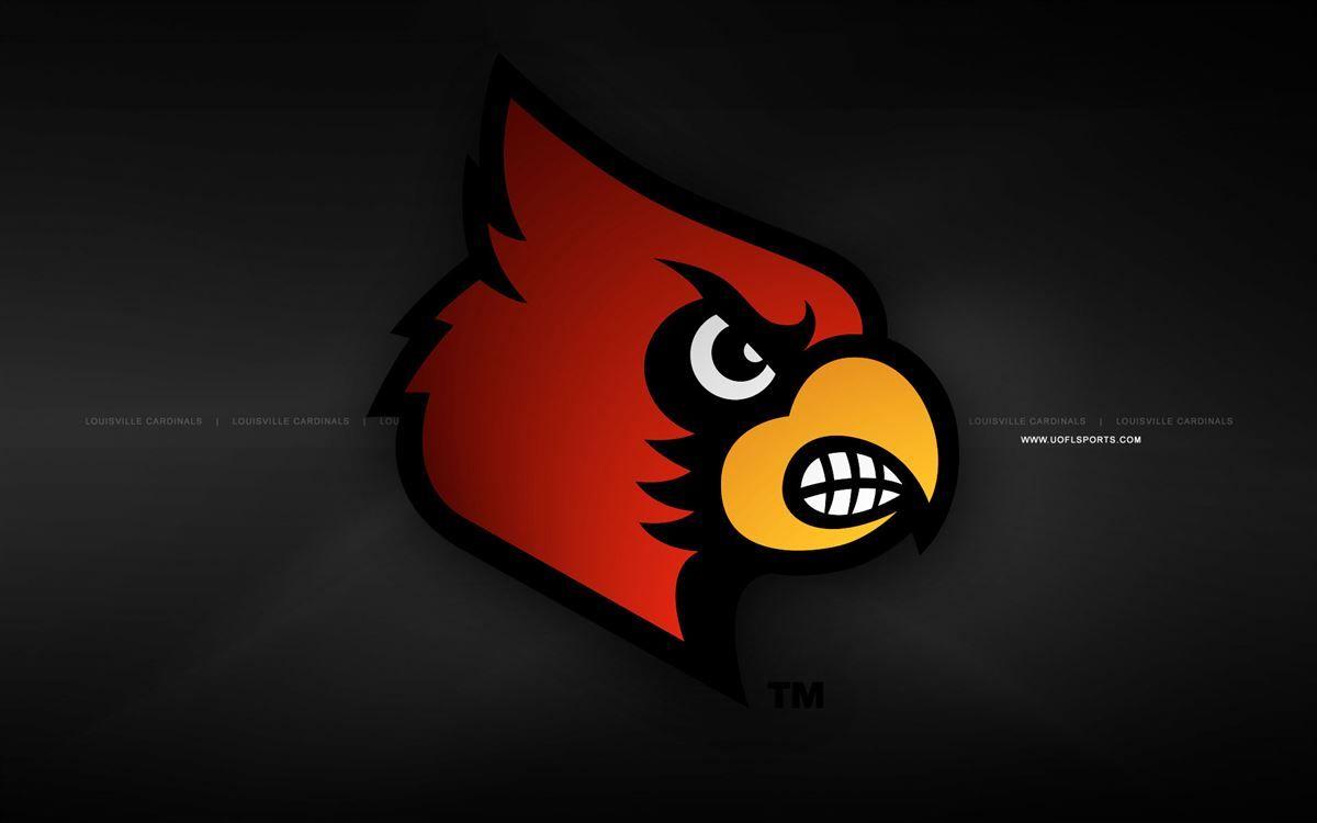 Louisville Cardinal Bird Logo - Louisville logo at half court