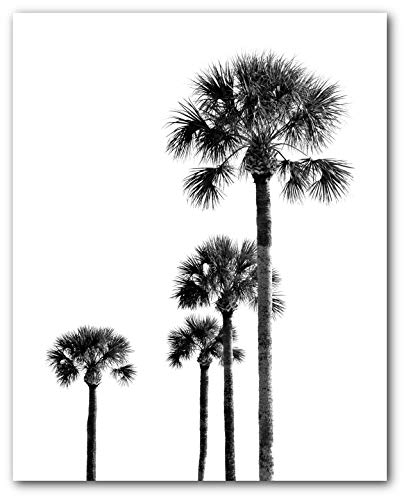 Black and White Palm Tree Logo - Palm Trees, Black and White Print, Tropical Palm Trees