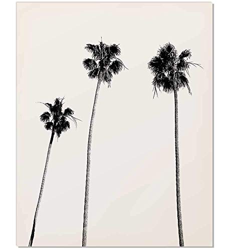Black and White Palm Tree Logo - Palm Tree Print, Palm Print, Palm Tree Photography