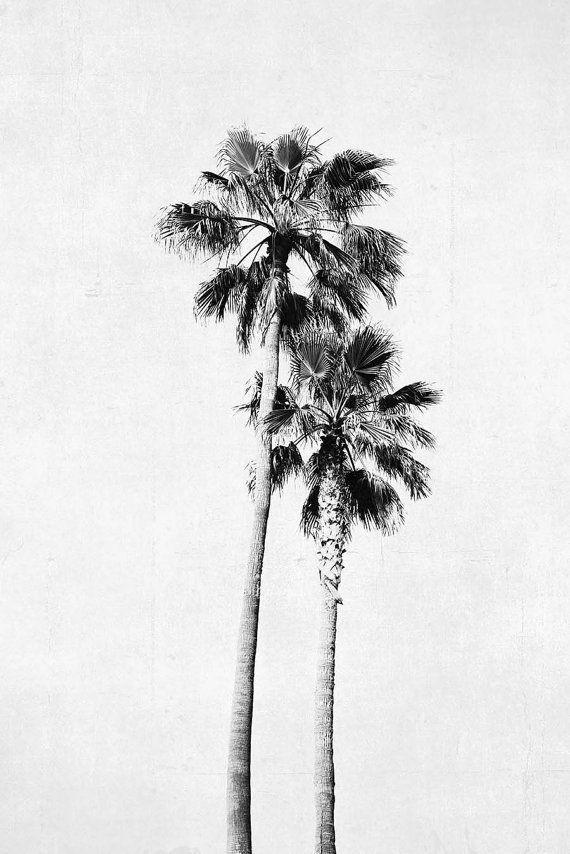 Black and White Palm Tree Logo - Palm Tree Photograph Vertical Print Black and White