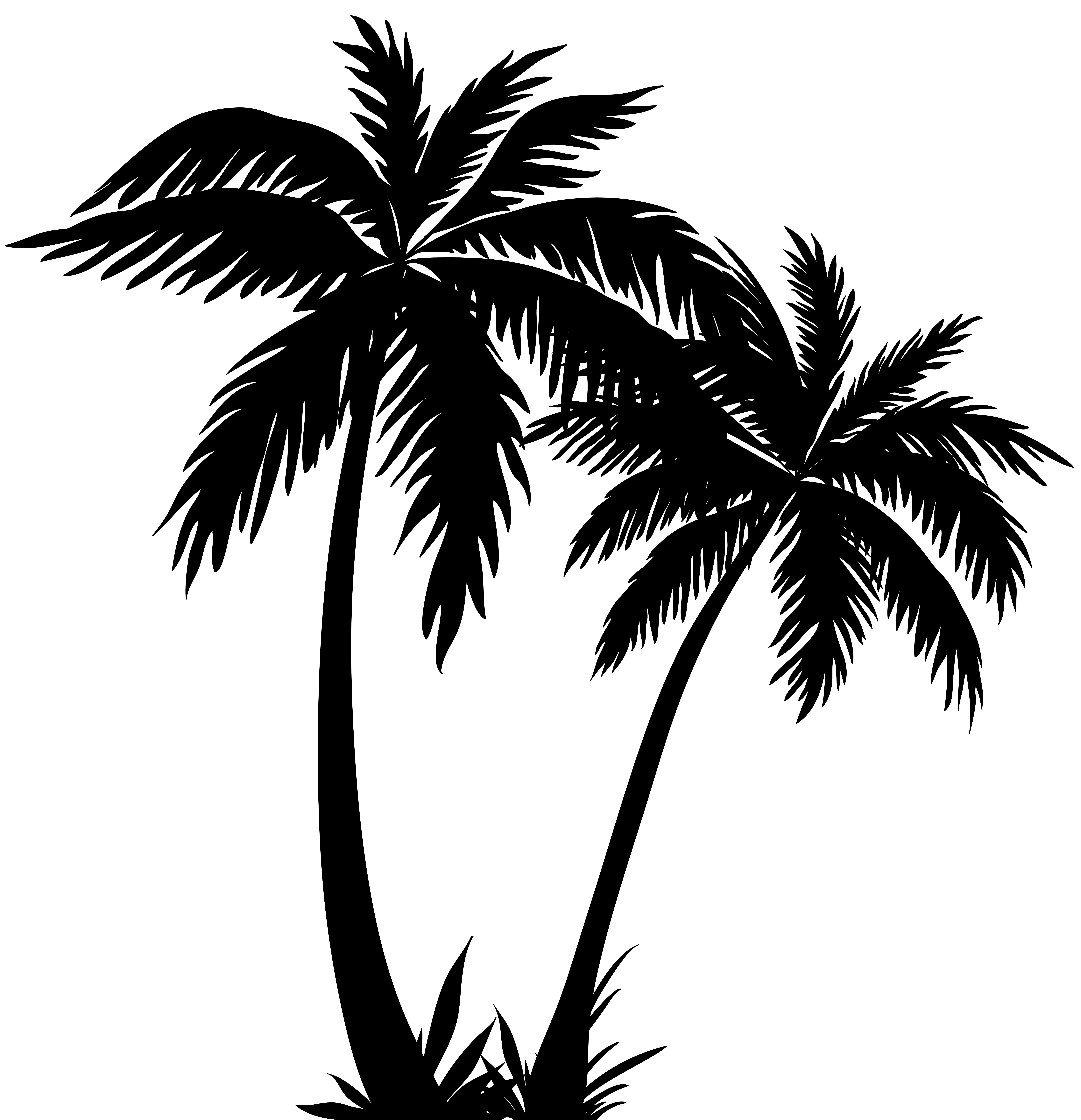 Black and White Palm Tree Logo - Palm Tree Black And White Logo Craft Designs And Ideas Within Black ...