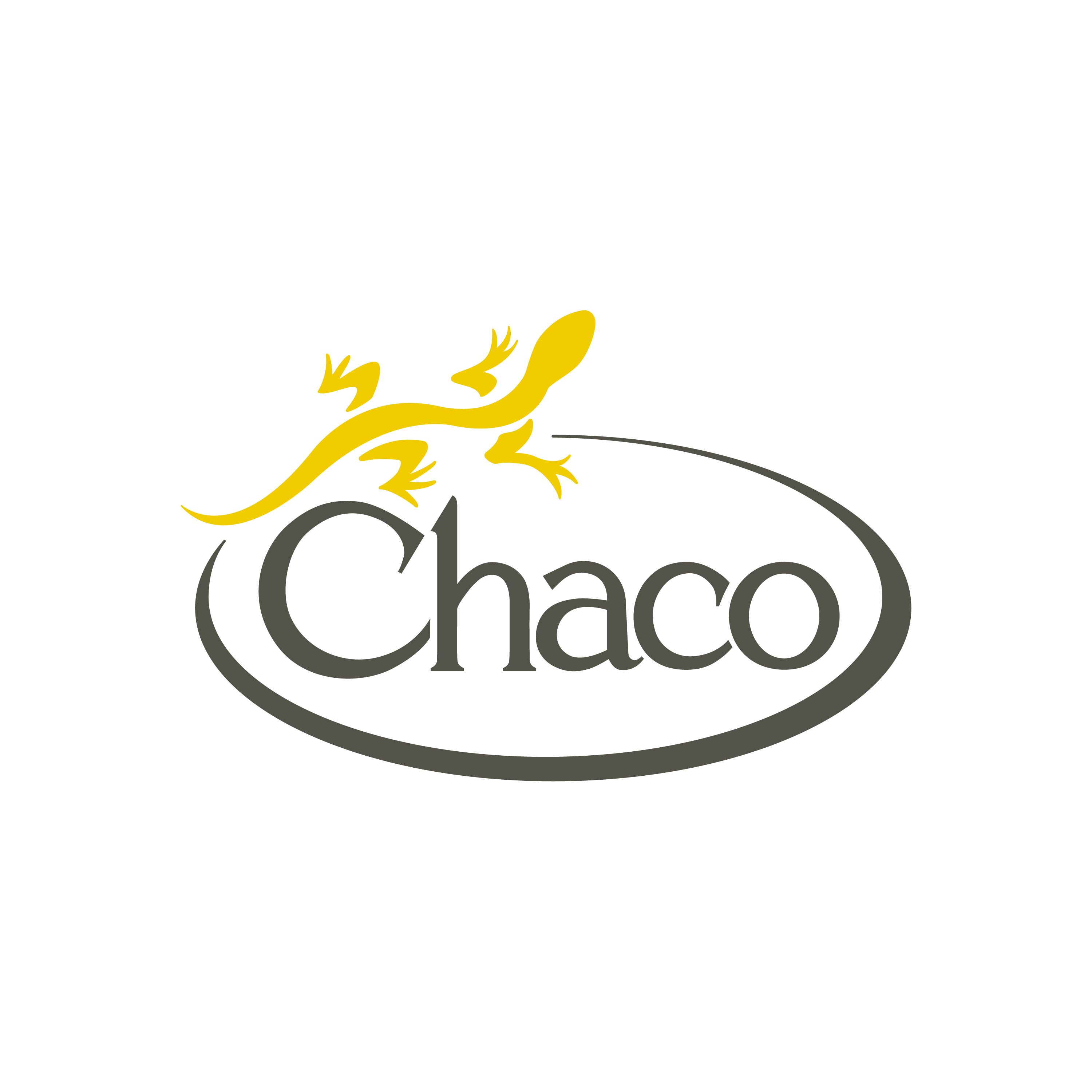 Chaco Logo - Amazon.com: Chaco