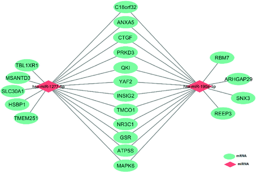 Two Red Diamonds Logo - Two novel CRC related miRNAs (red diamonds) and their target genes
