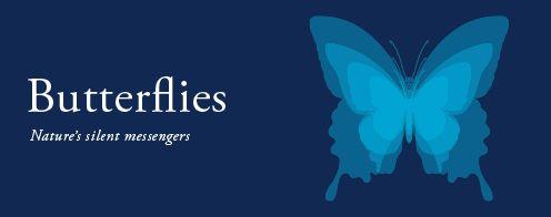 Silent Messengers Logo - Butterflies. Nature's silent messengers