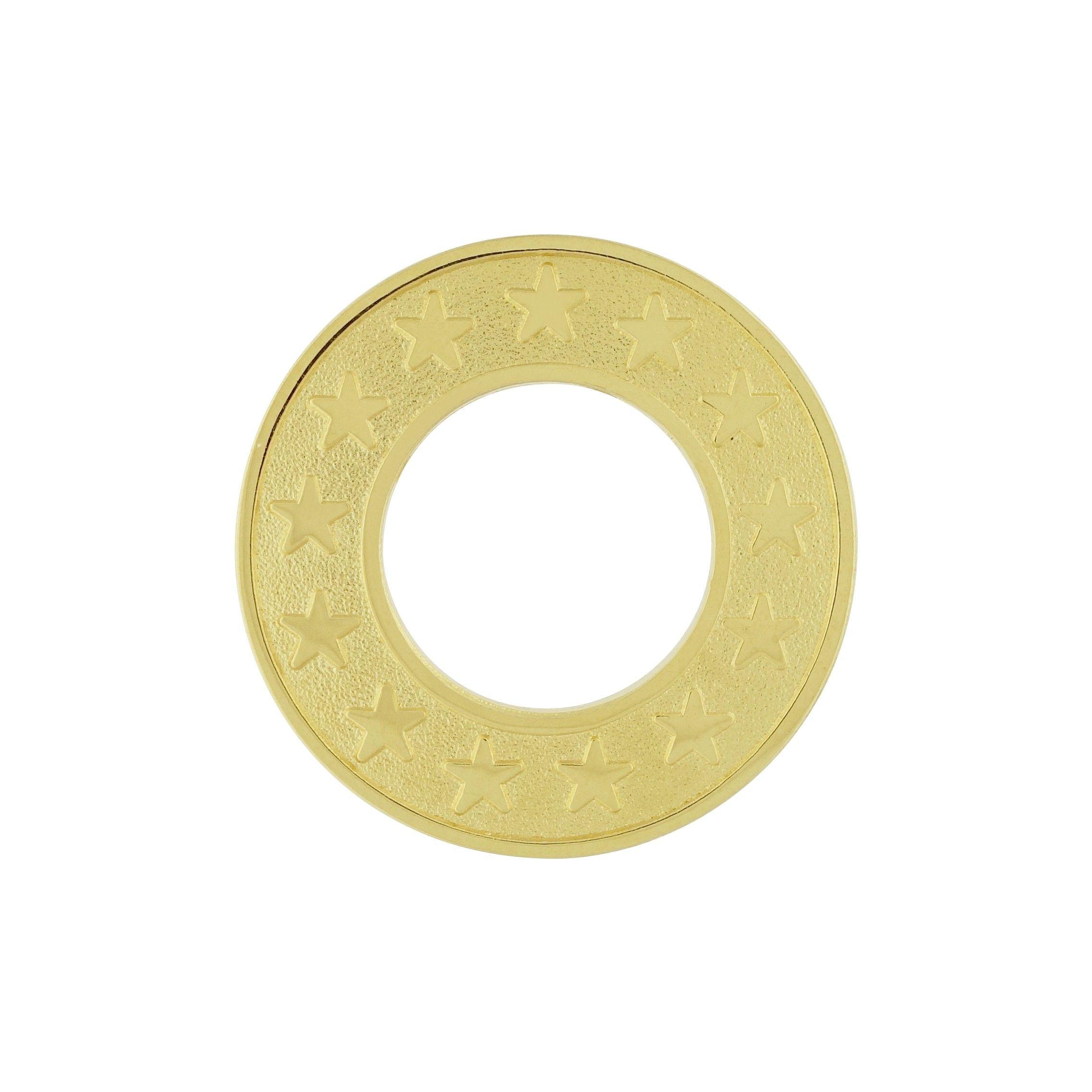 Organization in a Circle Stars Logo - Gold Circle Pin with Stars - Jewelry - DAR - Products by Organization