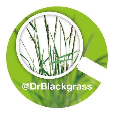 Black Grass Logo - Dr Blackgrass
