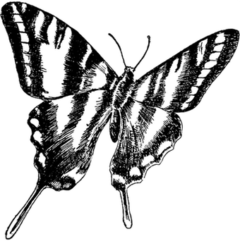 Butterfly with Cross Logo - Butterfly Symbol