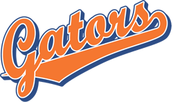 Blue and Orange Team Logo - Team Pride: Gators team script logo