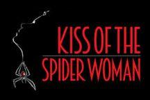 Spider- Woman Logo - Kiss of the Spider Woman. Boston. reviews, cast and info