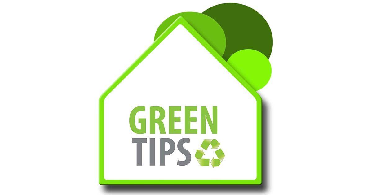 Old Blue and Green Eco-Activities Logo - Green Eco Tips for Sustainable Living