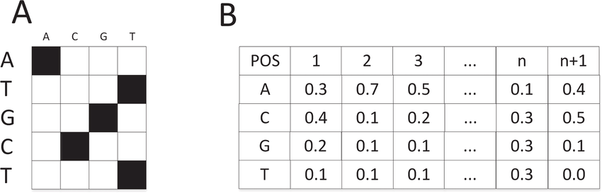 3 Black Blocks Logo - Two common encoding methods. (A) One hot encoding of base, where