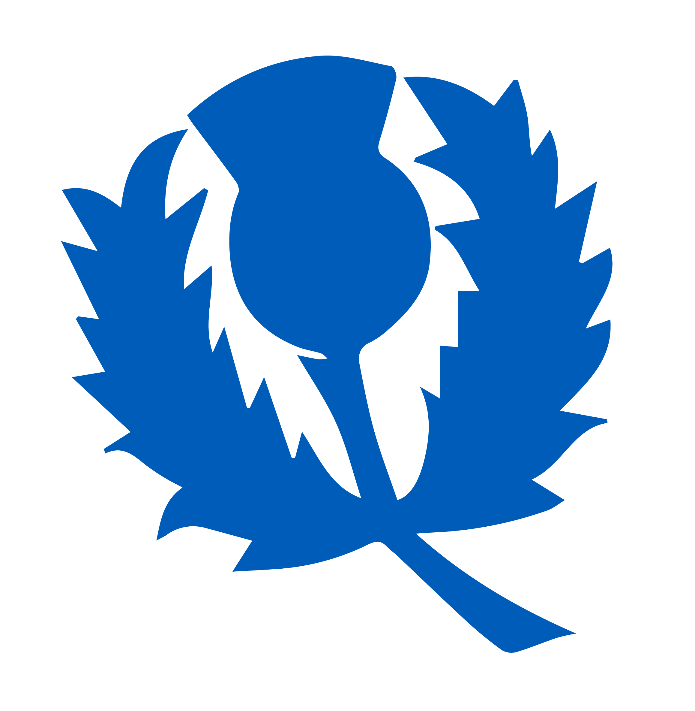 Scottish Logo - International – Cricket Scotland
