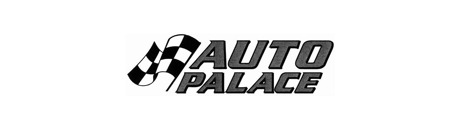 Big a Auto Parts Logo - Auto Palace | Portfolios | TA