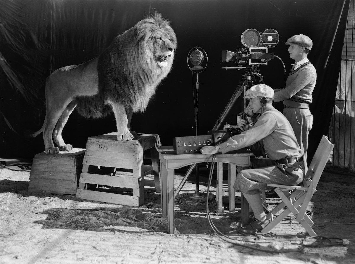 Lion MGM Movie Logo - In 1927, the MGM lion's plane crashed and he survived on sandwiches