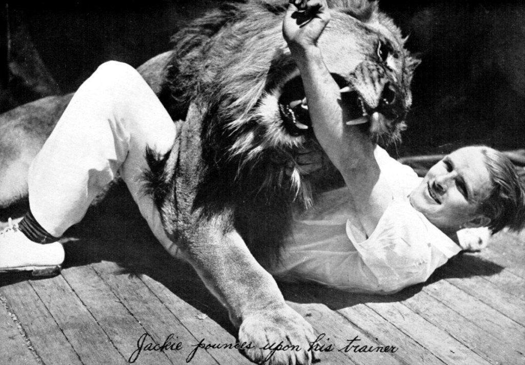 Lion MGM Movie Logo - The Facts and Fictions: Did MGM Leo The Lion Really Killed its