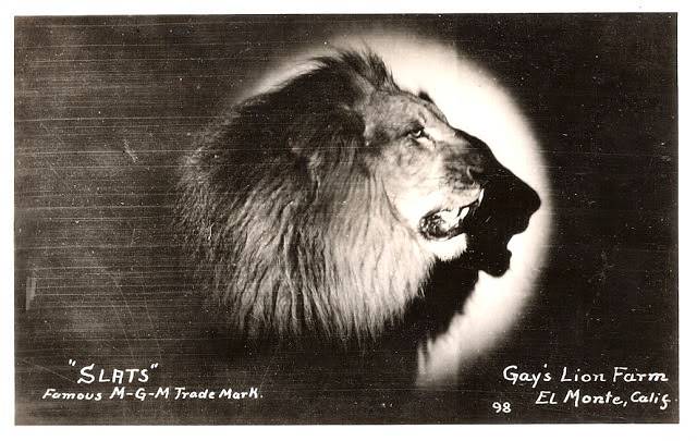 Lion MGM Movie Logo - Amazing Behind-the-Scenes Images of Filming MGM's · Lomography