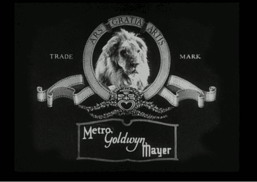 Lion MGM Movie Logo - The MGM Lion With 9 Lives; Jackie