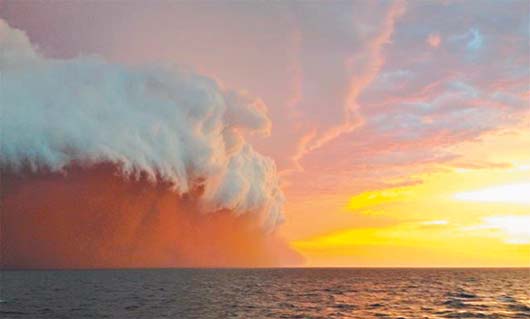 Australian Red Wave Logo - Odd: Spectacular red wave of dust storm in Australia's