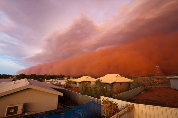 Australian Red Wave Logo - The Great Red Wave of Australia. Bored American Tribune