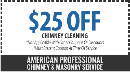 American Professional Services Logo - Chimney Sweep Services in Washington, DC. $25 Off Cleaning