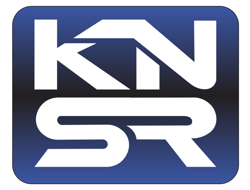 American Professional Services Logo - KNSR Professional Services
