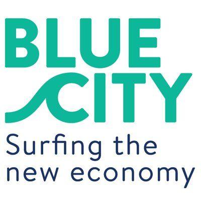 Blue City Logo - BlueCity010 (@BlueCity010) | Twitter
