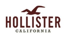 Hollester Logo - Hollister Logo - FAMOUS LOGOS