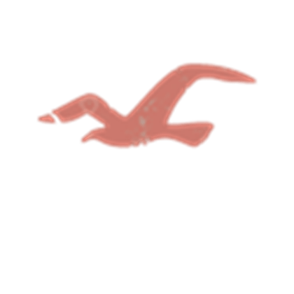 Hollister Bird Logo - Hollister Logo Png Images