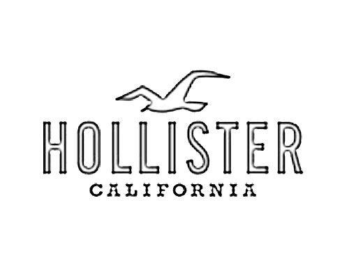 Hollister Bird Logo - Hollister Logo Sketch - Image Sketch