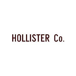 Hollister Bird Logo - Hollister Logo Png (96+ images in Collection) Page 2