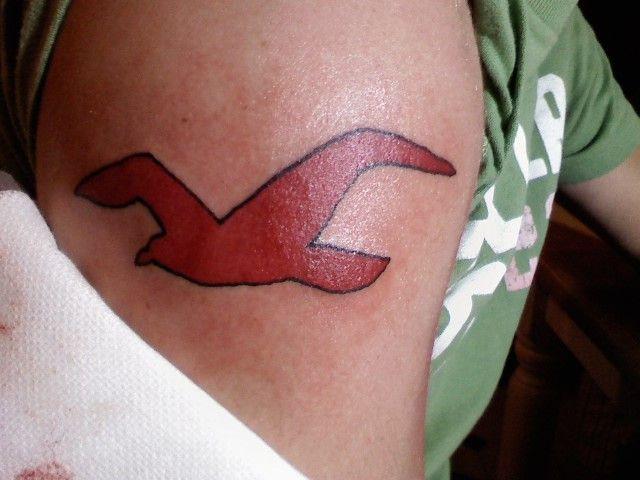 Hollister Bird Logo - hollister bird tattoo | Tattoo Design Images