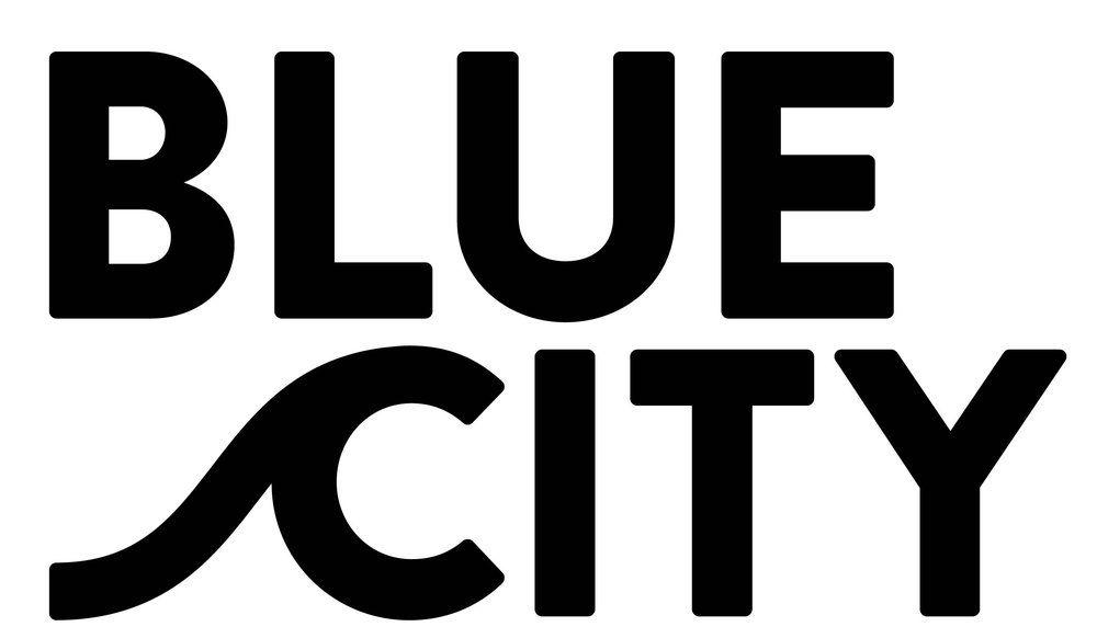 Blue City Logo - Festival — Playground Plastic