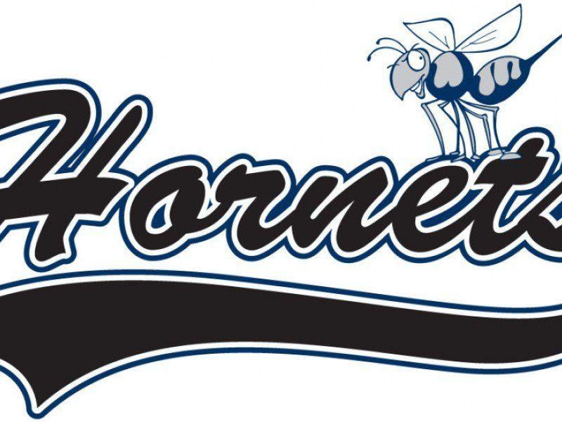 Cheer Camp Logo - Hornets Cheerleading Summer Cheer Camp | Dacula, GA Patch