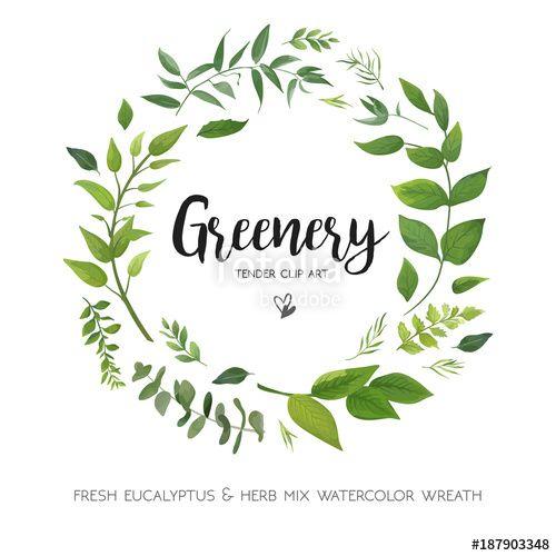 Flower Frames Rustic Logo - Floral vector card Design with green Eucalyptus fern leaves elegant ...