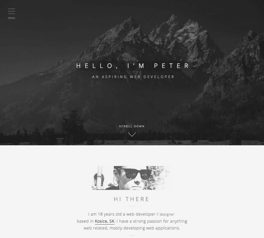 Black and White Hex Logo - Beautiful Website Color Schemes [With CSS Hex Codes]