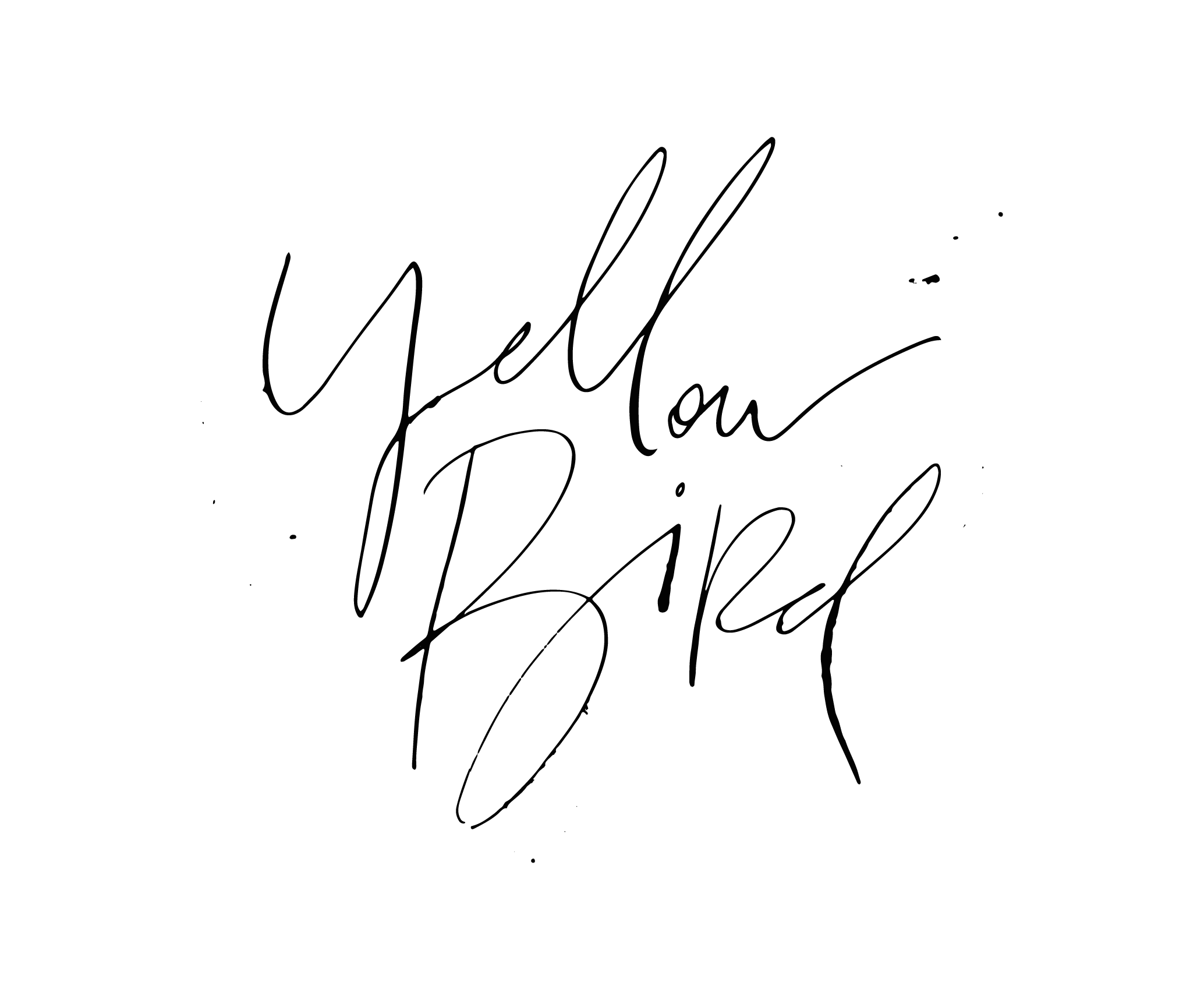 Yellow Bird Logo - PORTFOLIO - Yellow Bird Visuals
