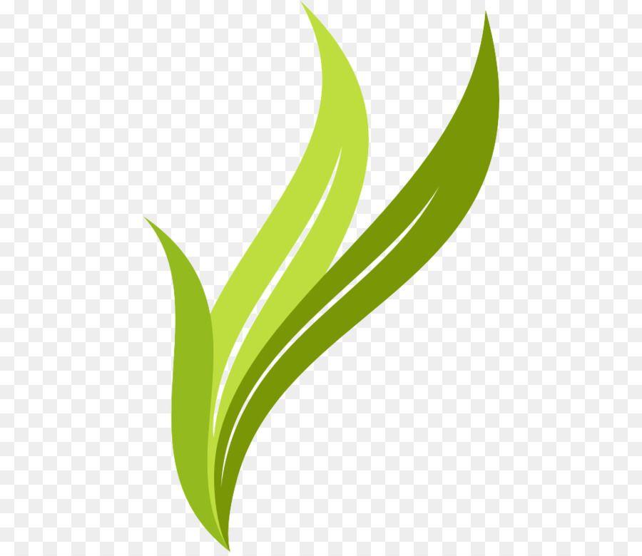 Grass Leaf Logo - Leaf Logo Brand leaves png download