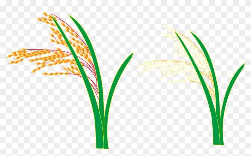 Grass Leaf Logo - Logo Grasses Leaf Plant Stem Font - Grasses - Free Transparent PNG ...