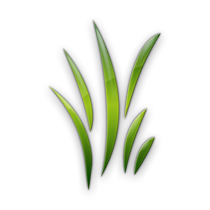 Grass Leaf Logo - ARTIFICIAL GRASS DUBAI – More Green less Fuss …!