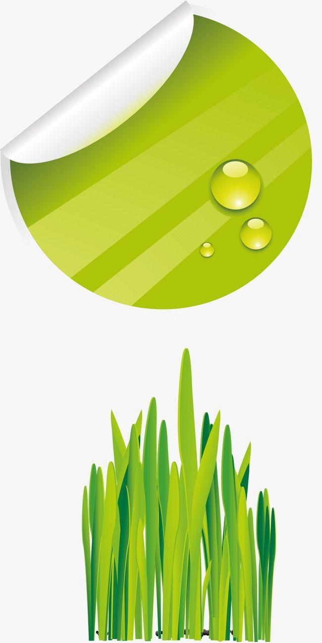 Grass Leaf Logo - Green Leaf Green Grass Stitching Water Drops Icon, Green Vector