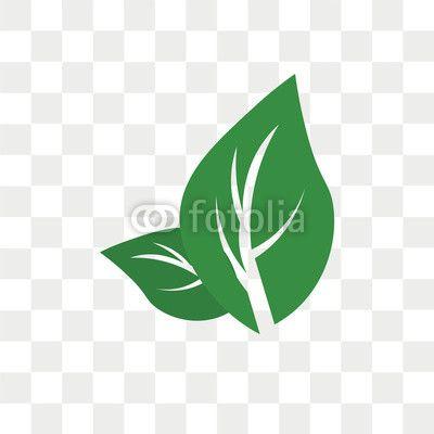 Grass Leaf Logo - Leaf vector icon isolated on transparent background, Leaf logo