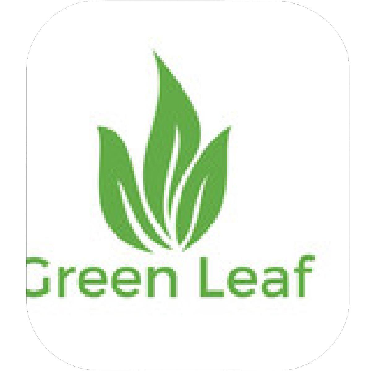 Grass Leaf Logo - Designs