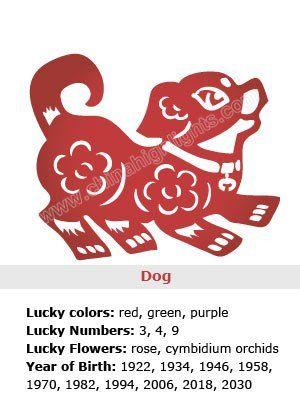 Chinese Luck Logo - Dog Chinese Zodiac Sign Symbolism